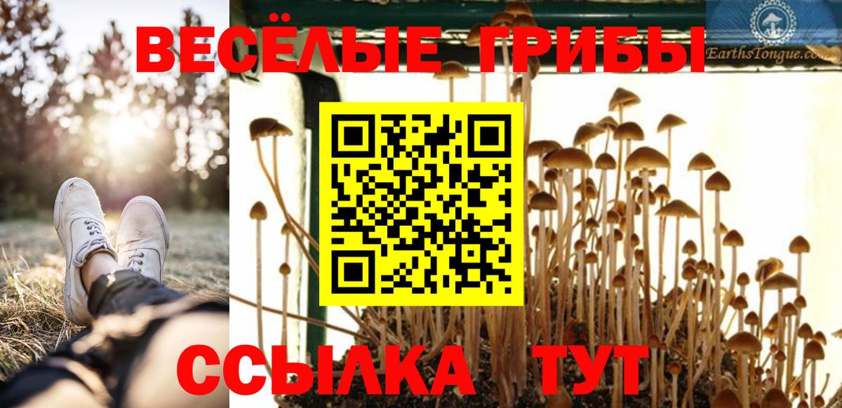 Галлюциногенные грибы Magic Shrooms  Вход с VPN  Джанкой 