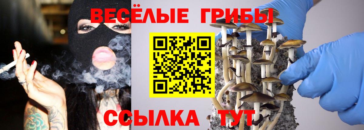 Псилоцибиновые грибы Cubensis Джанкой